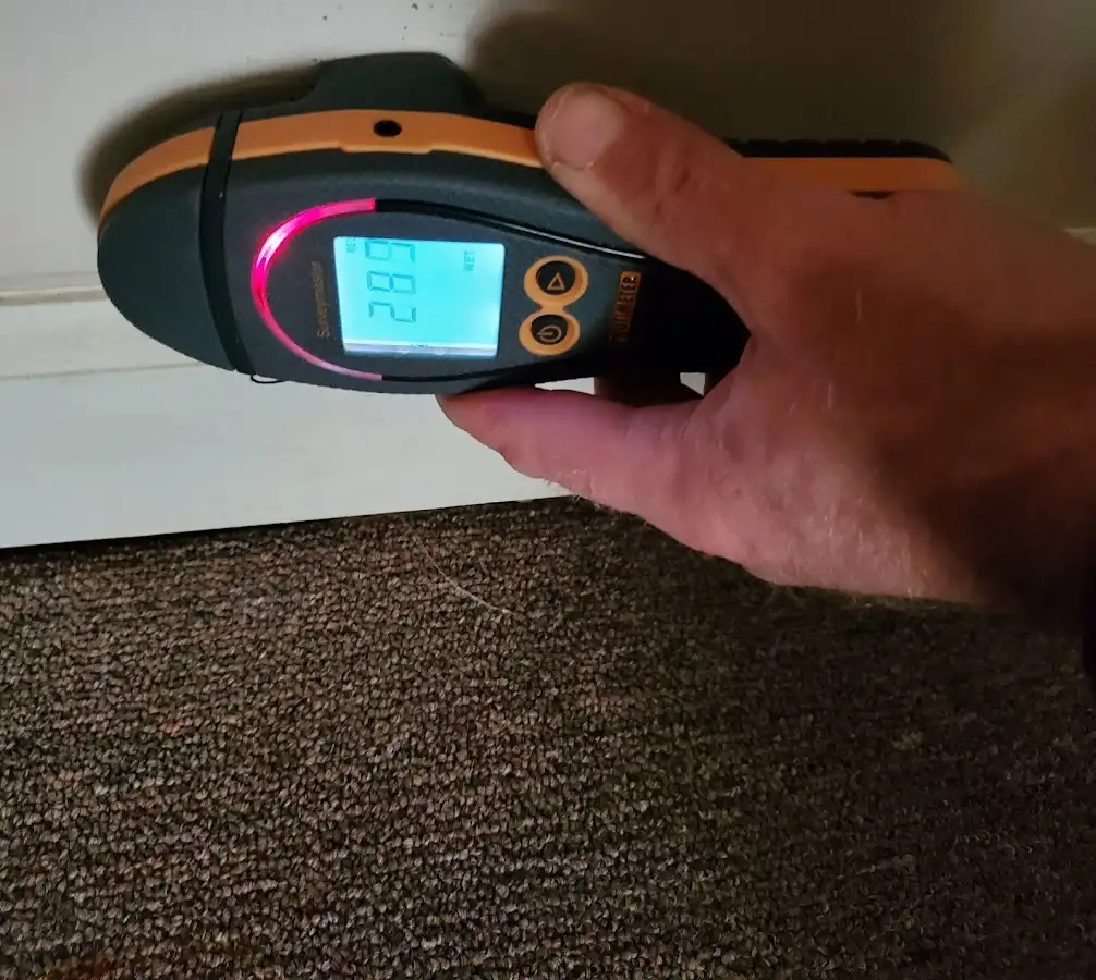 Moisture detection at baseboard during Mold Inspection & Testing in Leacock